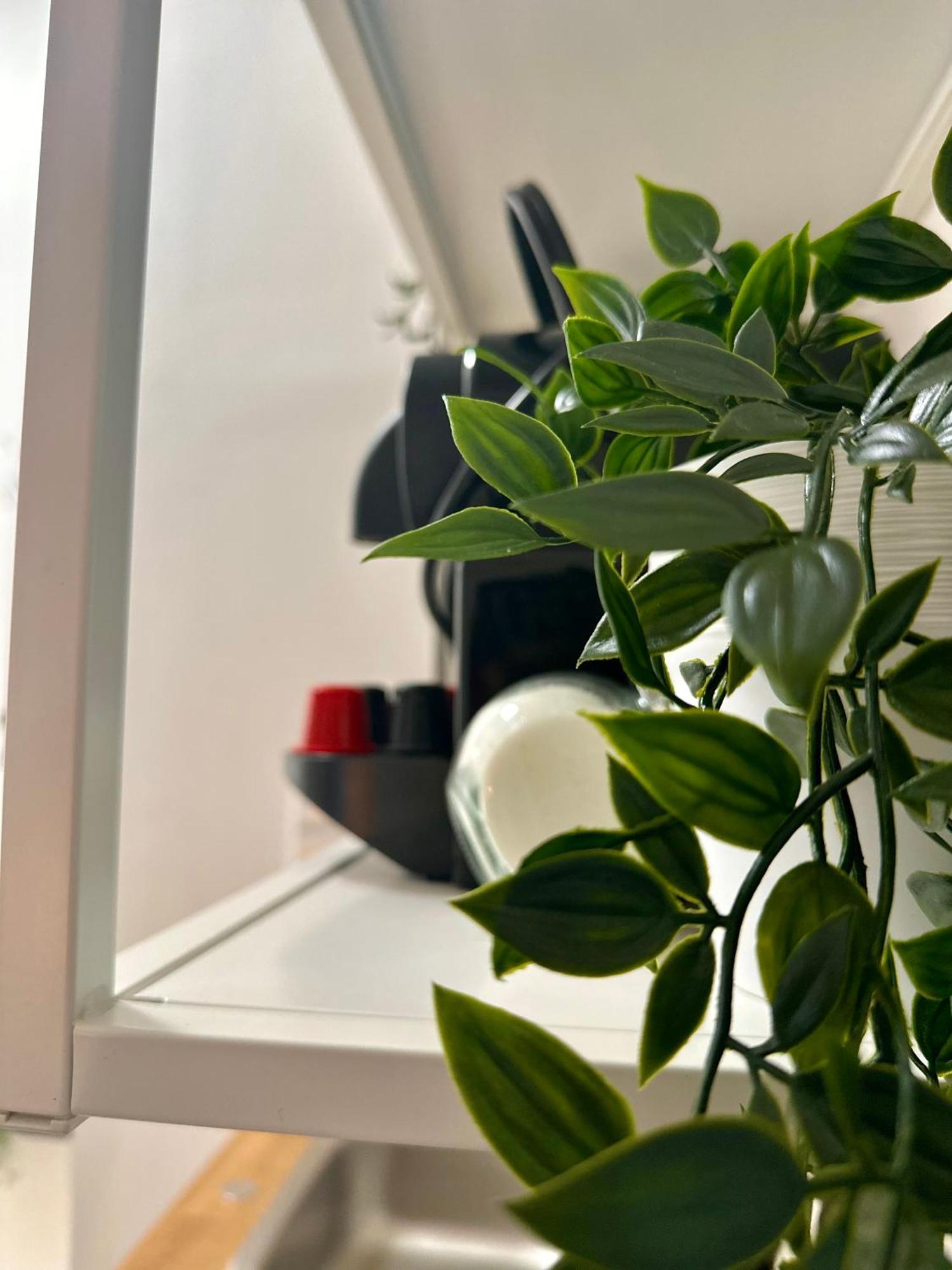 Cozy Centre Apartments Budapest Ngoại thất bức ảnh