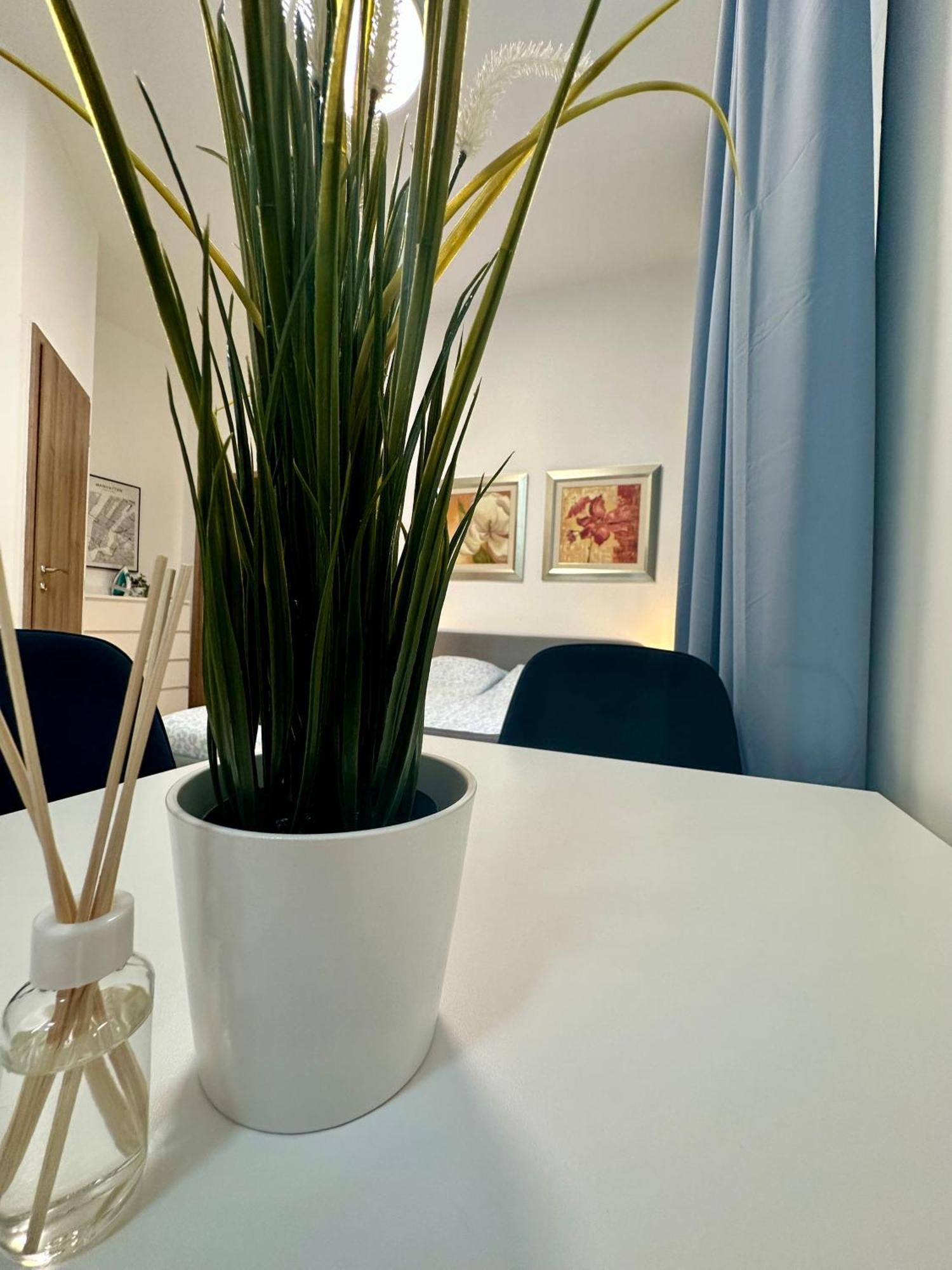 Cozy Centre Apartments Budapest Ngoại thất bức ảnh